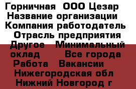 Горничная. ООО Цезар › Название организации ­ Компания-работодатель › Отрасль предприятия ­ Другое › Минимальный оклад ­ 1 - Все города Работа » Вакансии   . Нижегородская обл.,Нижний Новгород г.